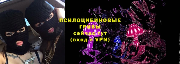 соль курить ск Богданович