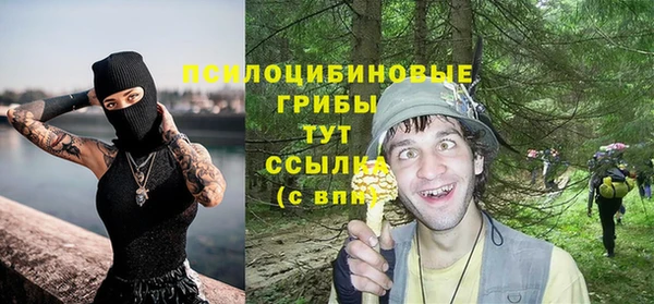 Альфа ПВП Богородск