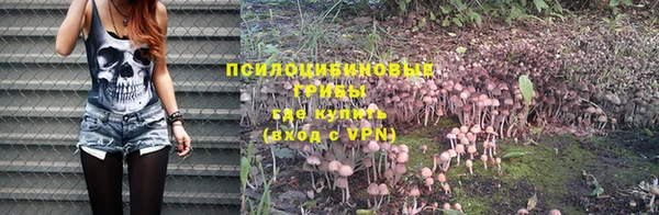 Альфа ПВП Богородск