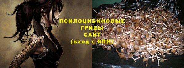 соль курить ск Богданович