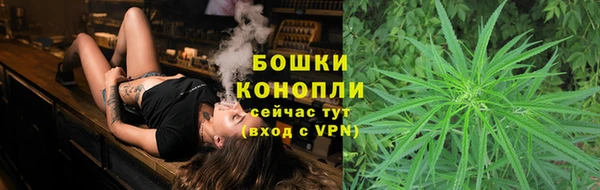 mix Белокуриха